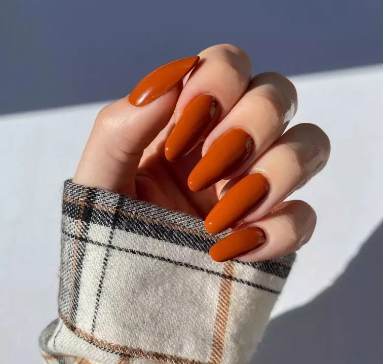 Burnt Orange – Fall in a Color