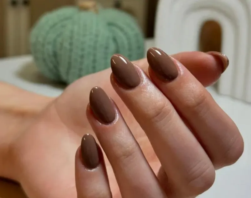 Chocolate Brown – Warm and Edgy